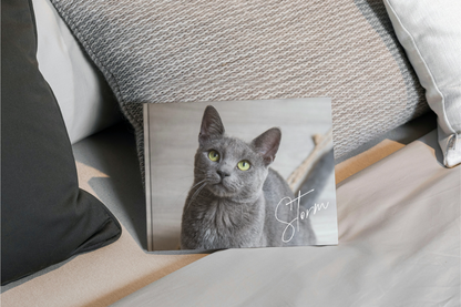 Cat custom photo book