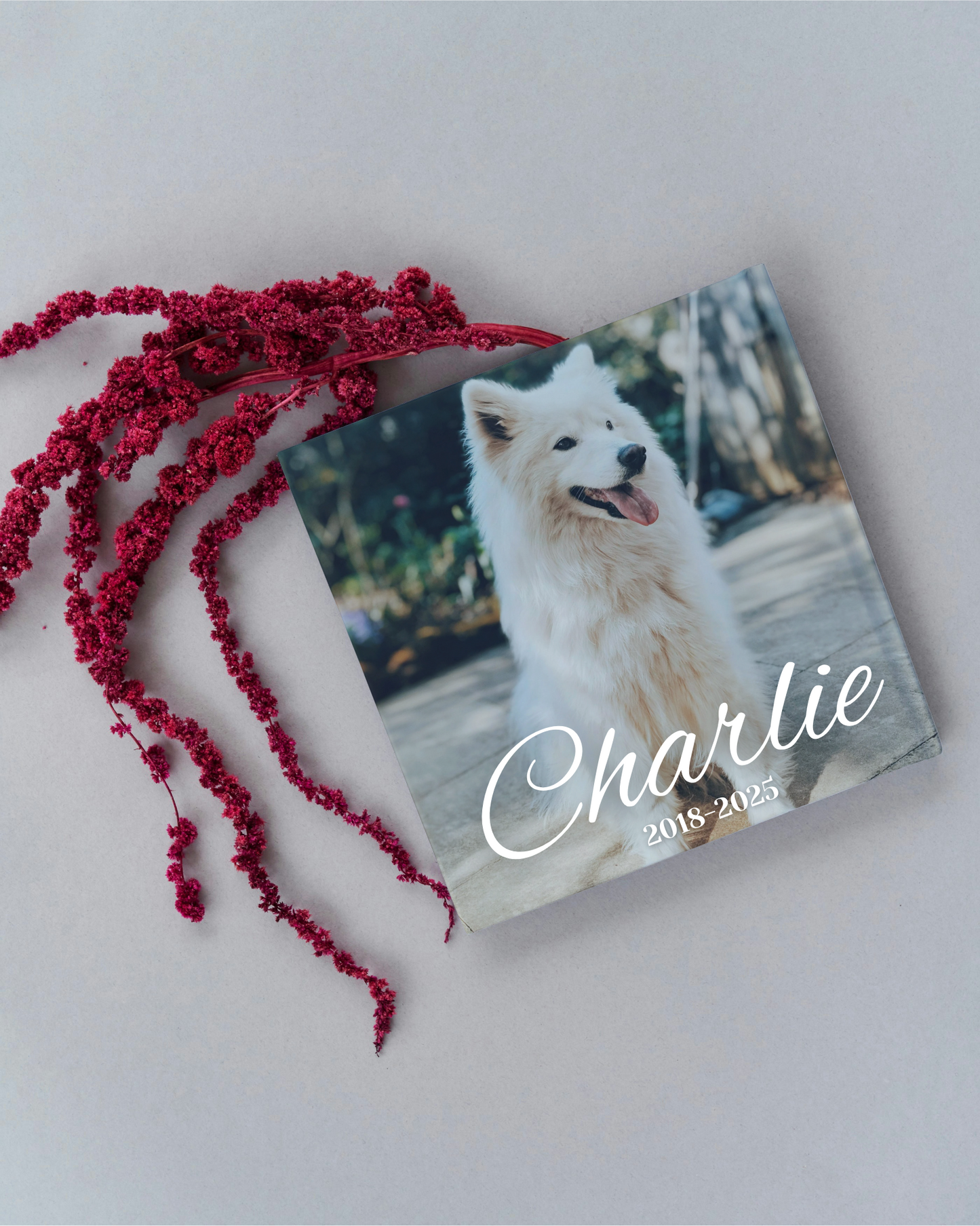 Pet Memorial Book